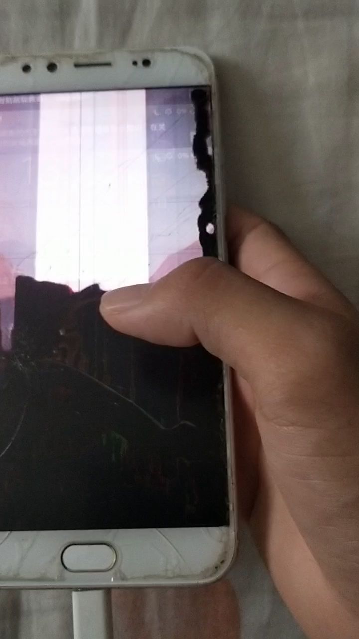 叙利亚里出来的手机截图