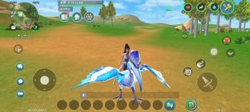 北境犀鸟———集美丽皮囊与智慧眼神于一身的大聪明！