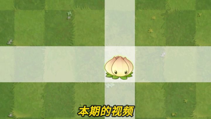 Pvz2植物测评 神级辅助能量花!截图