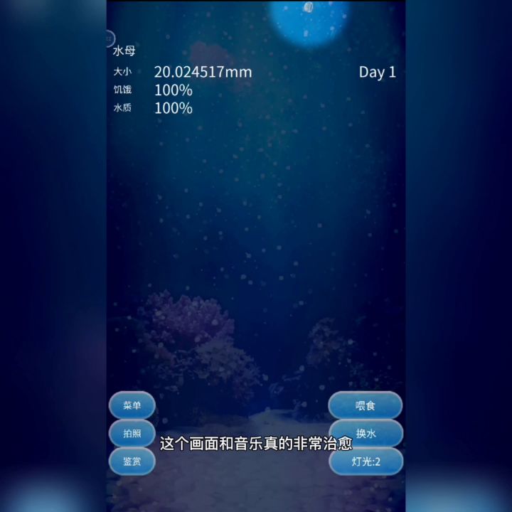 超棒的佛系养水母的治愈游戏#萌宠在哪里#截图