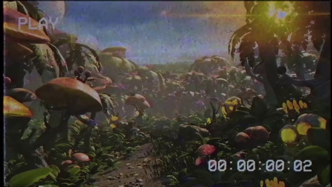 video-2804254