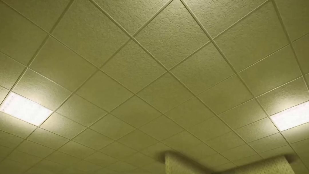 video-2807473