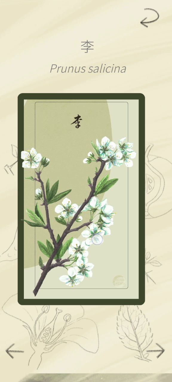 老农种树个人日常 1截图