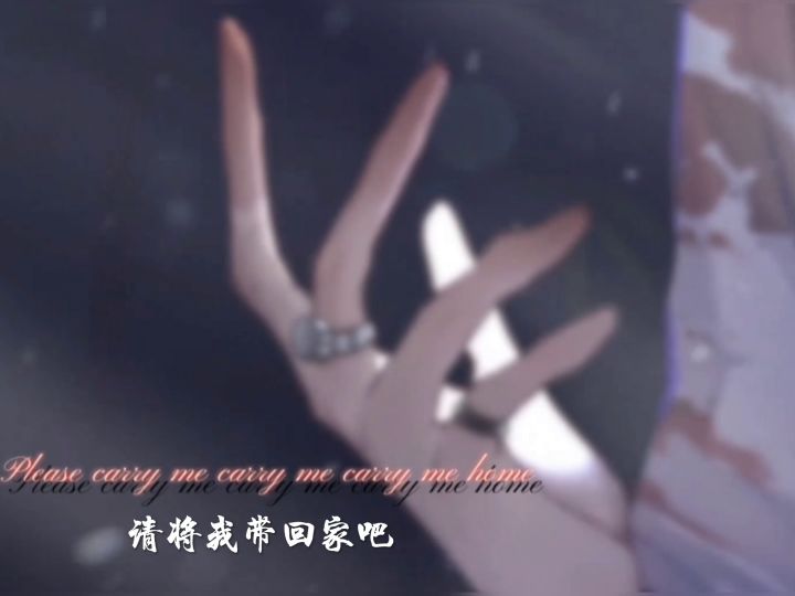 给艾尔即将到来的生日做的视频剪辑(ง •̀_•́)ง截图