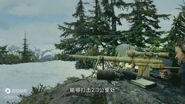 狙击枪排行榜截图