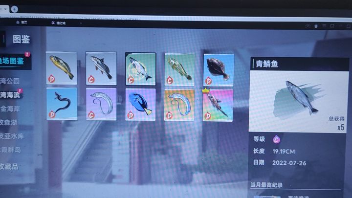 什么叫阳寿钓鱼啊截图