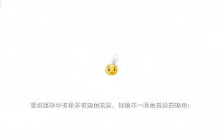 1阶植物打海盗8困难模式攻略