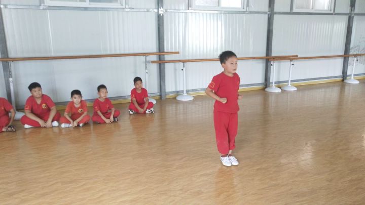什么都不会，给大家表演个武术吧截图