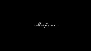 【BanG Dream!】Morfonica「fly with the night」动画MV