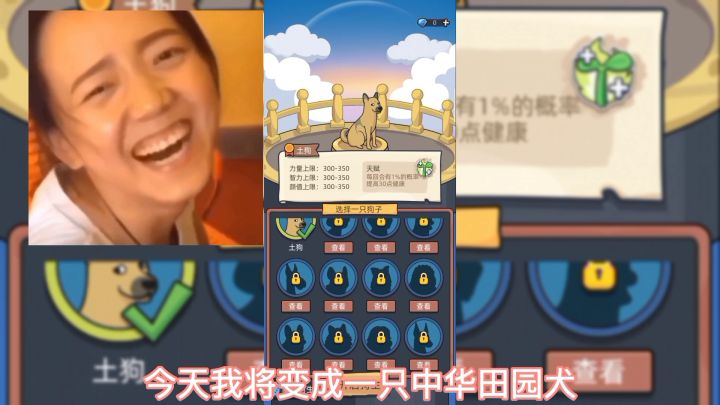 可爱修狗的一生《狗生模拟器》#新游观察局#截图