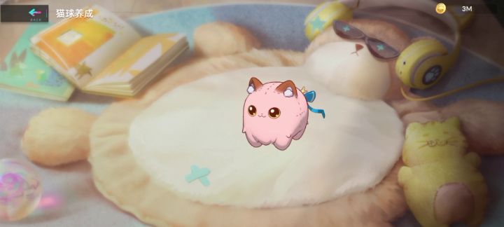 猫之城猫屋里的猫猫截图