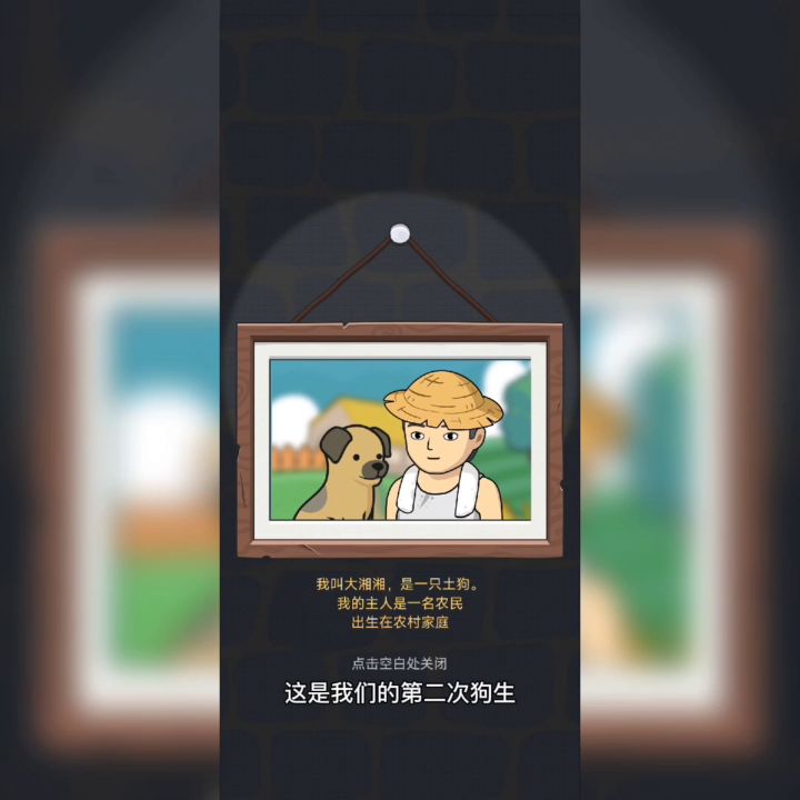 【狗生模拟器】:第二生:诞生金毛犬#暑假人集结#截图