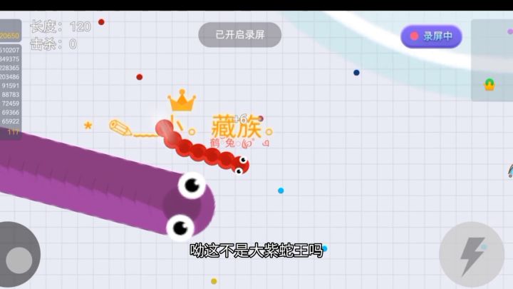 贪吃蛇大作战截图