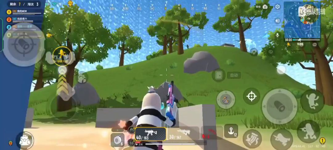 video-2864386