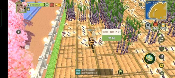 小森生活双倍收获的快乐截图