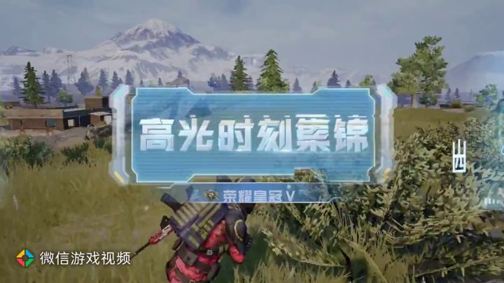 别说话,让我插个嘴截图