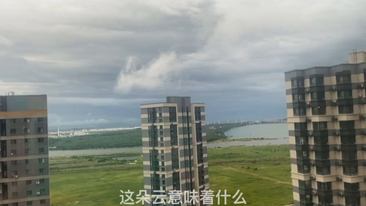 一个毫无意义的记录预告截图