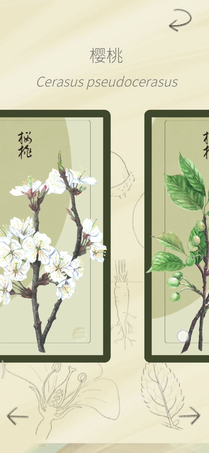 卡面集齐!已达成√截图