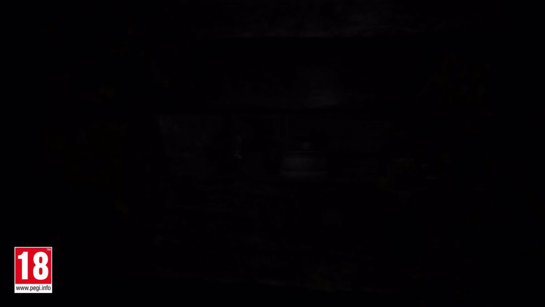 video-2902192