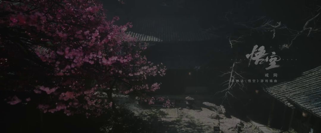 video-2906469