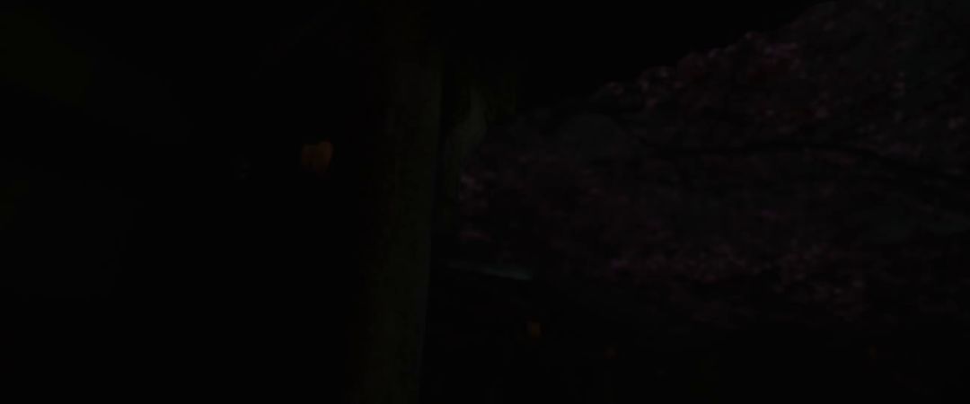 video-2906493