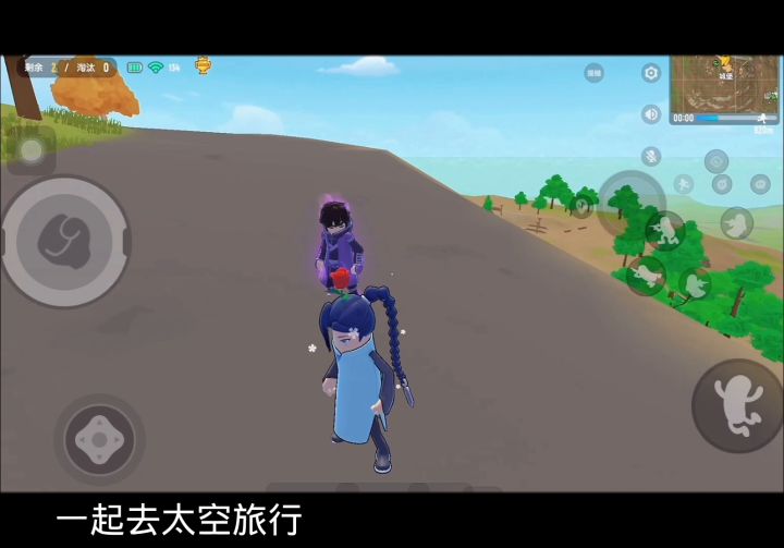 梅花有五片 六七得十三截图