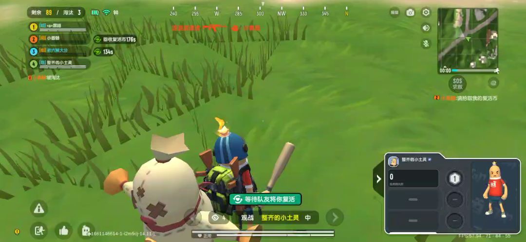 video-2911311