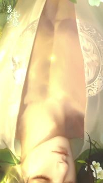 《花落长安》人物心绪——蔺盛安