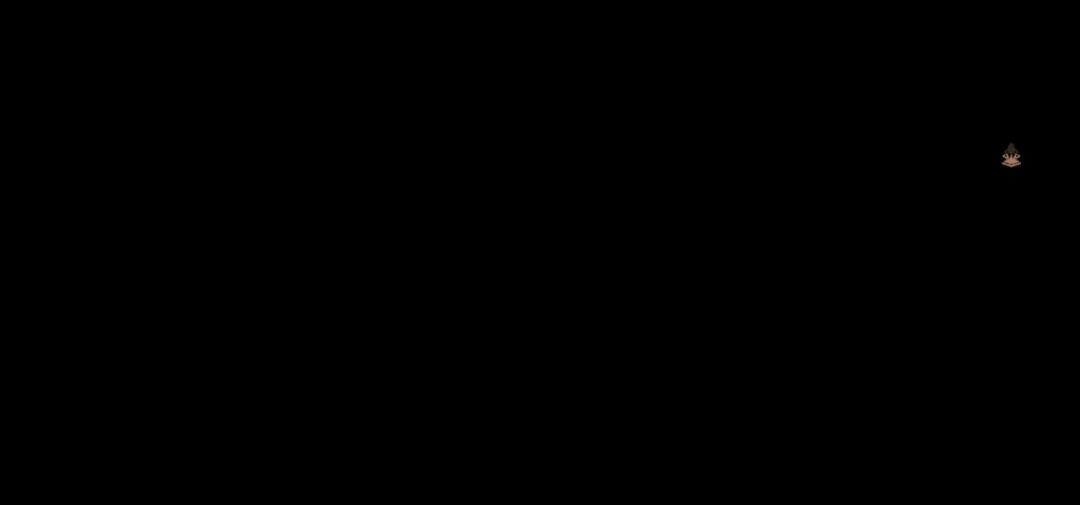 video-2912664