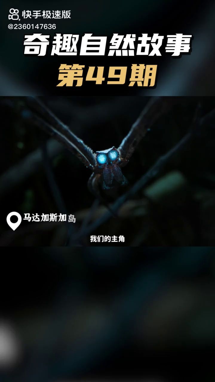 最好的讲解《动物世界》截图
