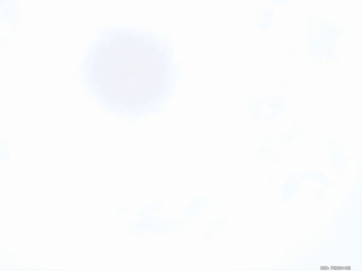 开水烫蛋二次真君来了截图