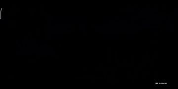 吉祥具书任务位置和里面传送点开启路线