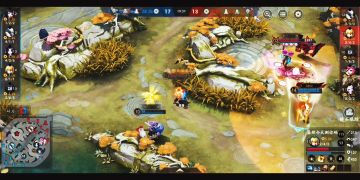 善逸大招的小知识，你真的知道吗？