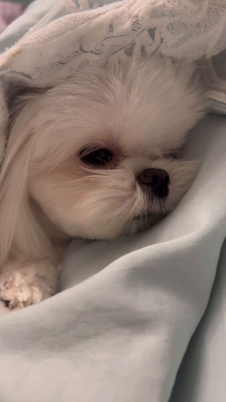 睡觉的小宝贝截图