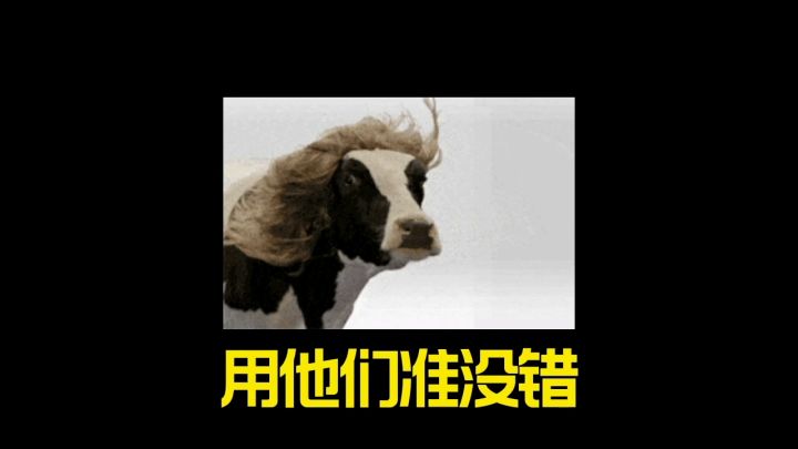 新版本这五把职业枪械可以用了截图