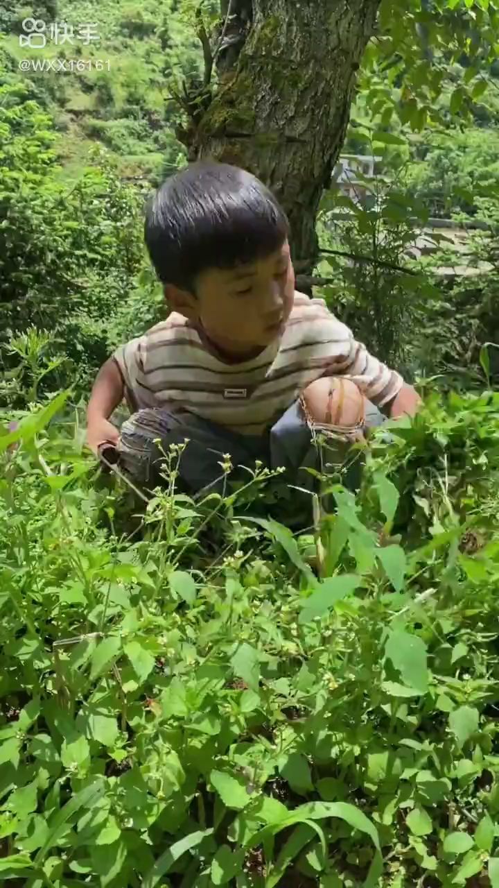 山村生活 第二集截图