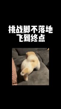 敢来和我比武吗？