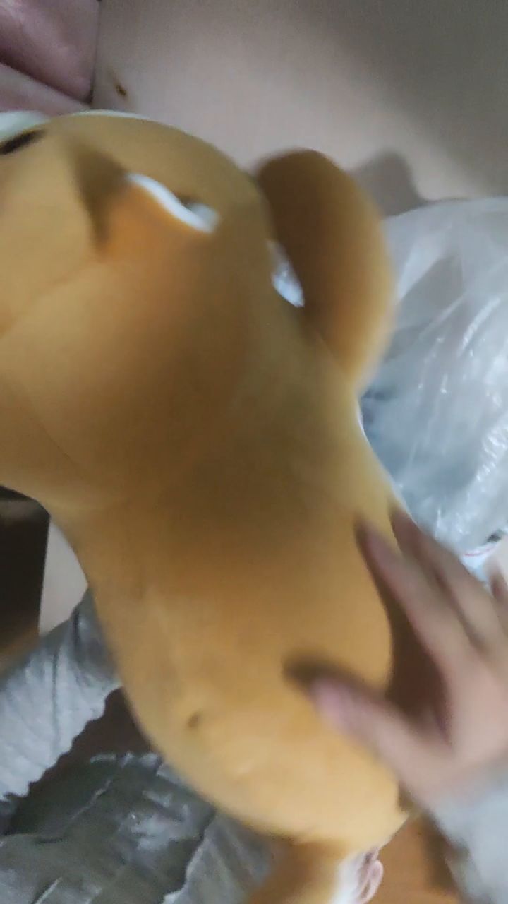 狗子酱的礼物开箱~截图