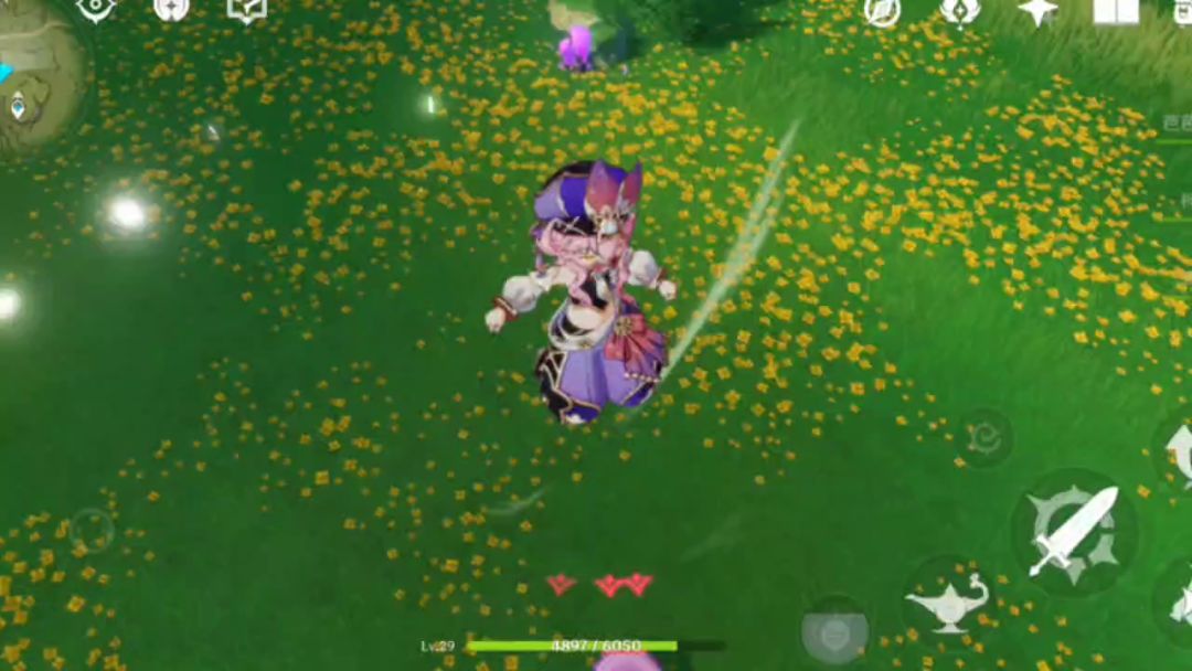 video-2968801