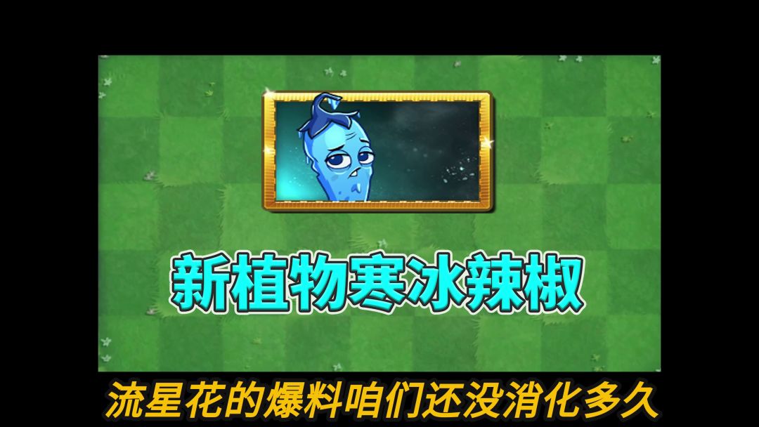 video-2975084
