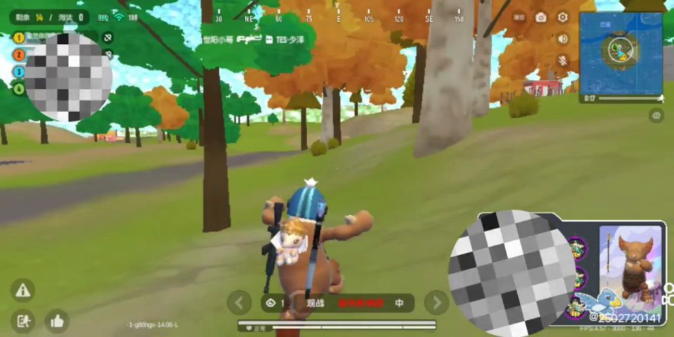 video-2977190
