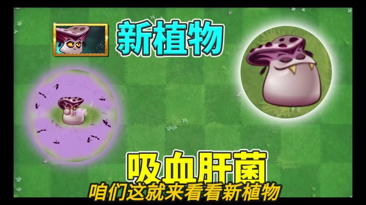 植物大战僵尸:新植物吸血肝菌正式版试玩!截图