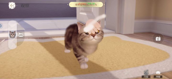 真•养猫模拟器截图