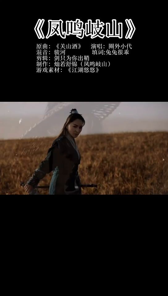 花醉三千客，剑寒荡九州—凤鸣岐山截图