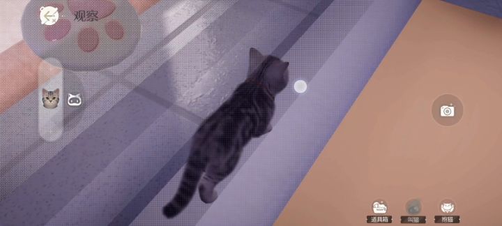 我的猫猫跑到墙里去啦！截图