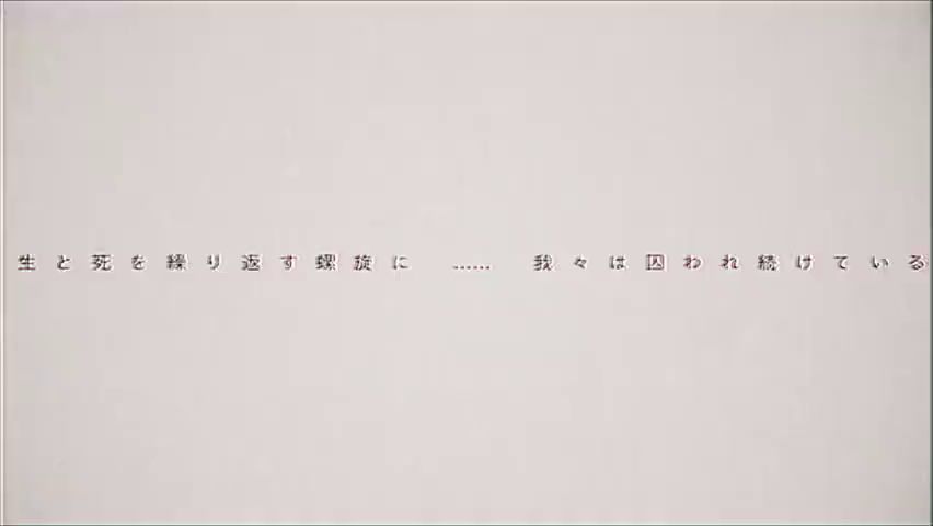 video-2994373