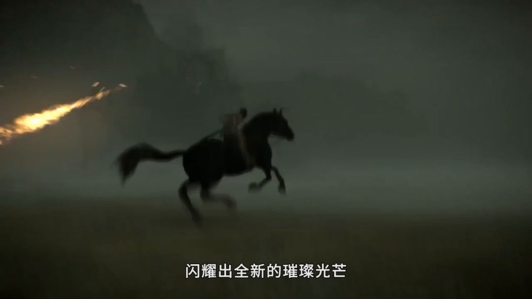 video-3004865