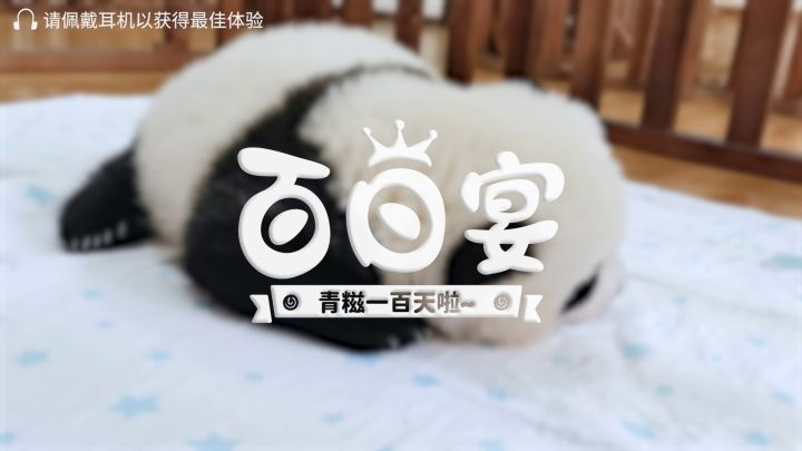 【青糍百日宴】初次见面,请多多指教~!截图