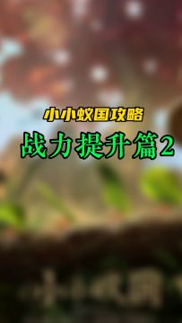 小小蚁国，战力提升篇（2）