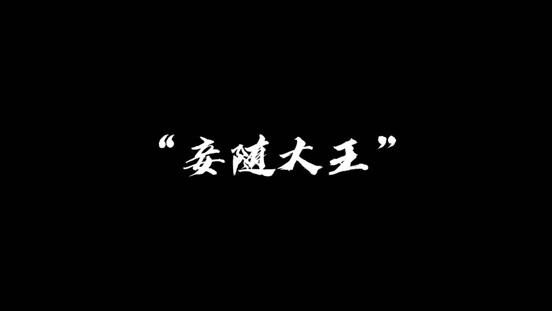 video-3012974